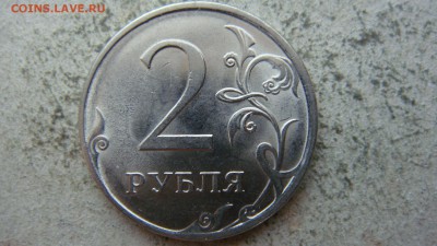 Вопросы по разновиднстям от сахарок - DSC06635.JPG