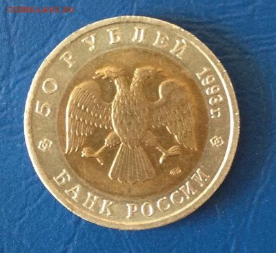 50 рублей Гималайский медведь до 24.7.16 22.00МСК - 2016-07-16 17-16-04.JPG