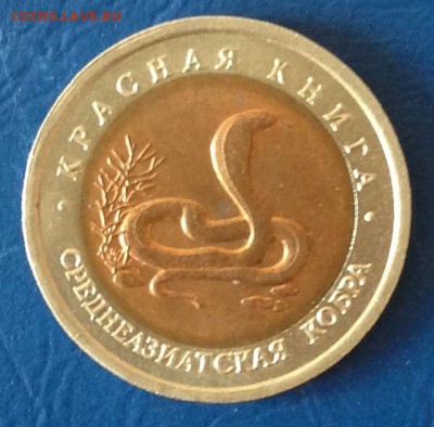 10 руб Среднеазитская кобра 24.7.16 22.00МСК - 2016-07-16 17-16-43.JPG
