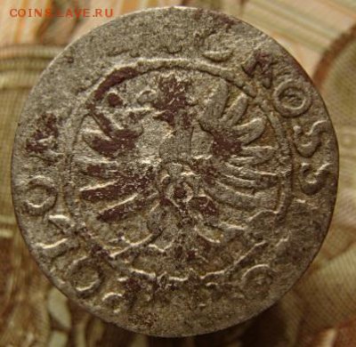 Грош коронный  (не частый) до 22-00, 24.07.2016 - DSC02024.JPG