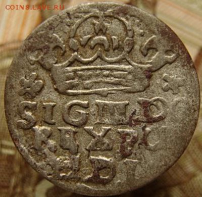 Грош коронный  (не частый) до 22-00, 24.07.2016 - DSC02023.JPG