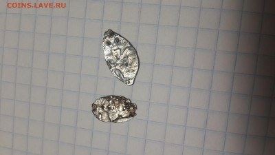 2 чешуйки на определение и оценку. - 20160721_202702