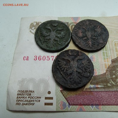 денга 1731 , 1737 , 1739 - DSC02821.JPG