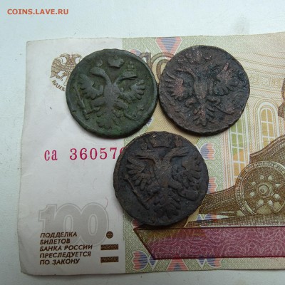денга 1731 , 1737 , 1739 - DSC02822.JPG