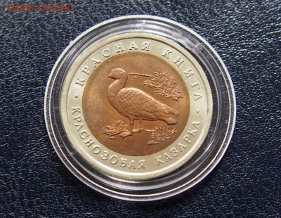 №26 КРАСНАЯ КНИГА - КАЗАРКА 1992  до 27.07 22.00 МСК - P7200487.JPG