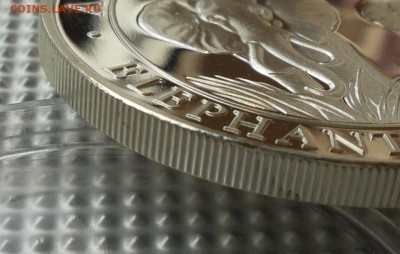 СОМАЛИ. 100 Шиллингов 2014г. до 24.07.2016(21-00Мск) - P1160006.JPG