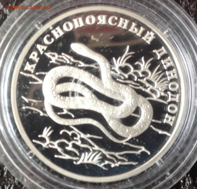 Краснопоясной динодон 1 рубль 2007 до ухода в архив - image