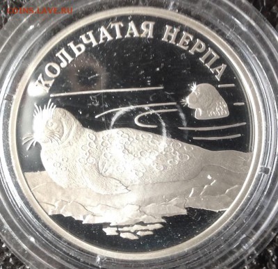 Кольчатая нерпа 1 рубль 2007 г. до ухода в архив - image