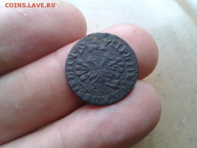 полушка 1707г до 26.07.2016г до 22-00 - 20120103_034740
