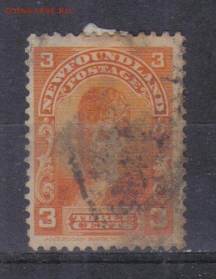 Ньюфаундленд 1897г до 25.07 22.00мск - Ньюфаундленд 1897г