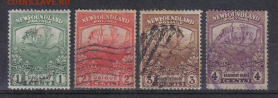 Ньюфаундленд 1919г до 25.07 22.00мск - Ньюфаундленд 1919г