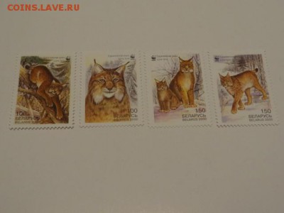 2000, Беларусь, Рысь, чист. - DSC00604.JPG