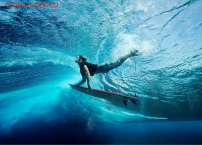 Полтинники unc - file