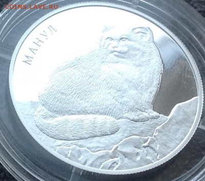 2 рубля 2016 Манул - Подскажите, правильная монетка? - image