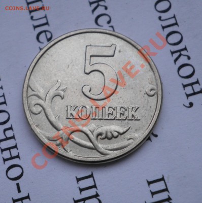 б - PB250067.JPG