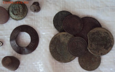 Копанина до 30.07 в 22-00 - DSC03709.JPG