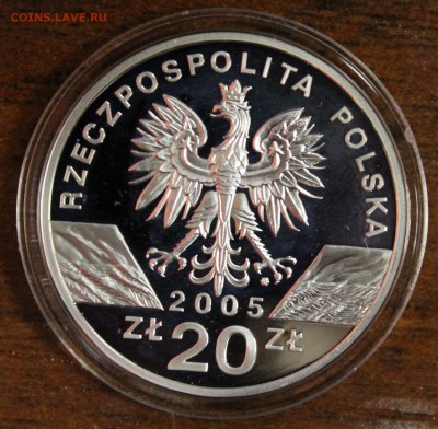 Серебро: Польша 20 злотых 2005г. Филин - IMG_8496.JPG