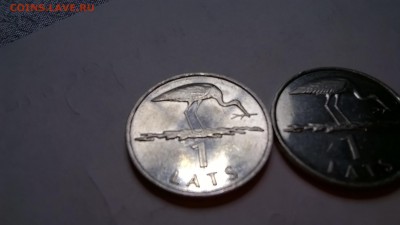 1 лат - Аист, 2 шт. на предпродажную оценку - WP_20160727_01_18_22_Pro