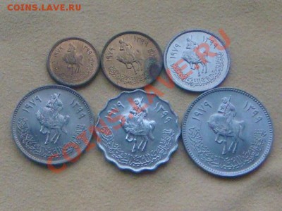 -v-Ливия(6шт.) до 01.12(21.00) - DSC09574.JPG