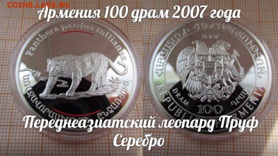 Армения 100 драм 2007 года Переднеазиатский леопард Пруф Сер - f7uQqyHlHlo