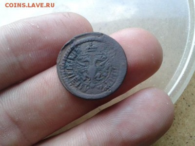 полушка 1702г Короткий аук!до 28.07.2016 - 20120103_034954