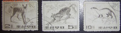 Корея Фауна - корея фауна