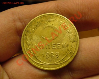 5 копеек 1929 года  До 30.11.10 в 22.00 по мск - 5 копеек 1929 года.JPG