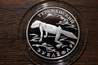 ТУРКМЕНСКИЙ ЗУБЛЕФАР - Изображение 905