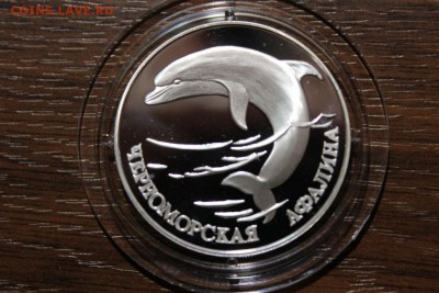 ЧЕРНОМОРСКАЯ АФАЛИНА - Изображение 916