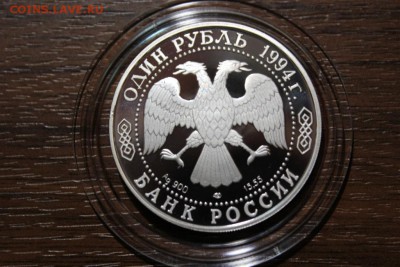 ГИМАЛАЙСКИЙ МЕДВЕДЬ - Изображение 921