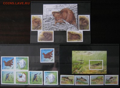 Беларусь фауна, до 03.08.16 в 22.30 по Москве. - IMG_3871.JPG