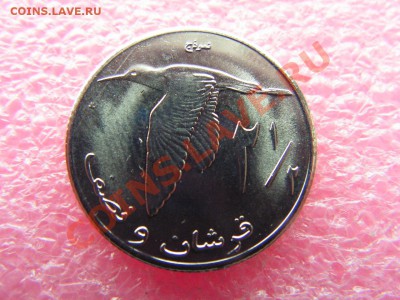-Палестина- 2,5 милс 2010(птица) -- 1,12 22-00 - PICT0703.JPG