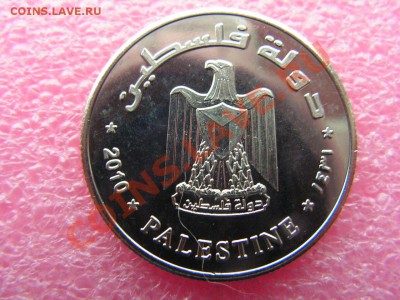 -Палестина- 10 милс 2010(птица) -- 1,12 22-00 - PICT0700.JPG