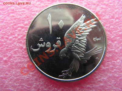 -Палестина- 10 милс 2010(птица) -- 1,12 22-00 - PICT0699.JPG
