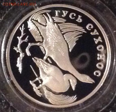 Гусь сухонос 1 рубль 2006 до 7.08. В 22.00 - image