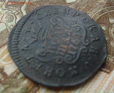 Сибирская полушка 1766г - 1470022544-4cc8eb5c73d0c2a25821933002a978ea