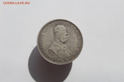 Австро-Венгрия 1 крона 1896 на оценку - IMG_3497.JPG