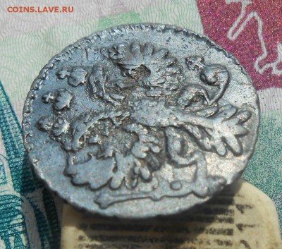 Полушка 1731 года ПЕРЕЧЕКАН - 4
