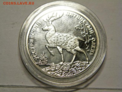 2 рубля 2010 год Уссурийский пятнистый олень подлинность - P9020620.JPG