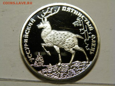2 рубля 2010 год Уссурийский пятнистый олень подлинность - P9020621.JPG