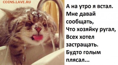 веселые картинки - 4
