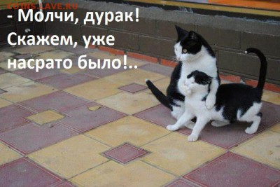 веселые картинки - 1