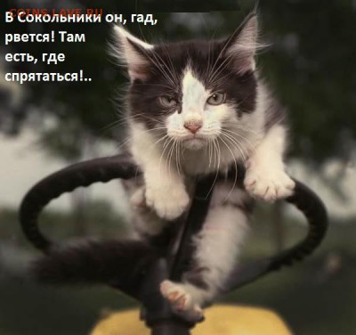 веселые картинки - 9