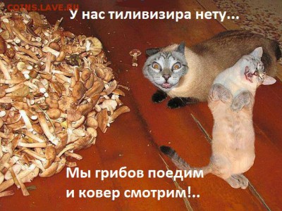 веселые картинки - 16