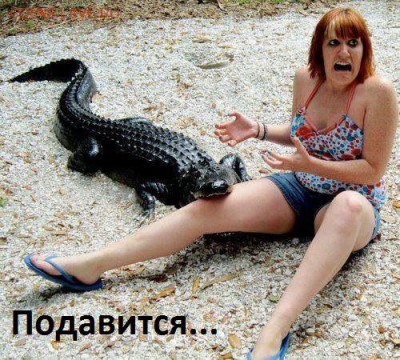 веселые картинки - 14