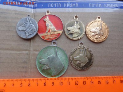 Медали ОВЧАРКИ  6  шт  с РУБЛЯ   8-го в 21-00 мск - DSC02540.JPG