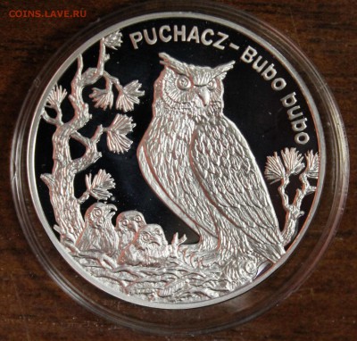 Серебро: Польша 20 злотых 2005г. Филин до 04.08. - IMG_8495.JPG
