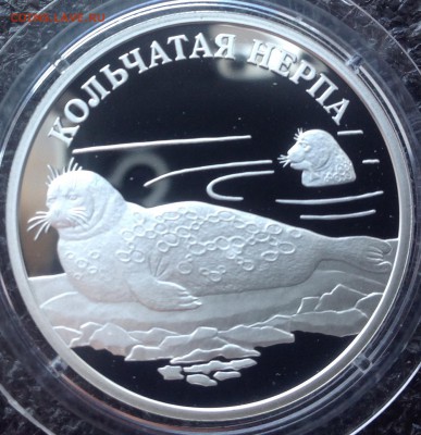 Кольчатая нерпа 1 рубль 2007 г. С 1000руб.до 3.08. в 22.00 - image