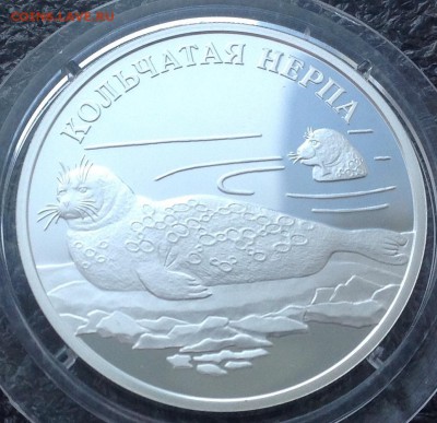 Кольчатая нерпа 1 рубль 2007 г. С 1000руб.до 3.08. в 22.00 - image