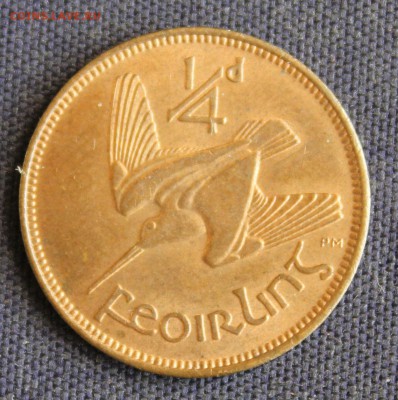С 1 руб. ИРЛАНДИЯ фартинг 1953г.ВАЛЬДШНЕП,НЕ ЧАСТАЯ  до 9.08 - IMG_2579.JPG